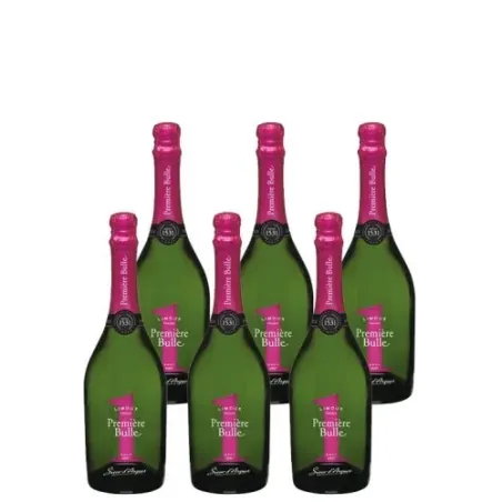 Pack 6 Premiere Bulle Fucsia N1