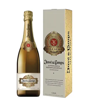 Juve y Camps Milesime Estuchado