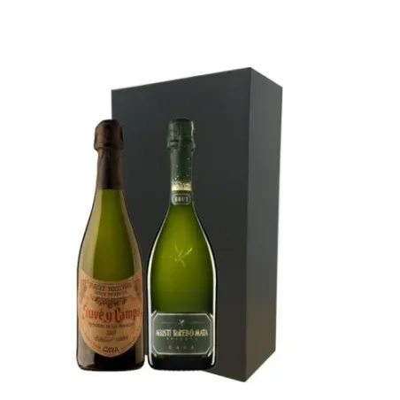 Estuche cava Juve y Camps Reserva de la Familia y Agustí Torelló