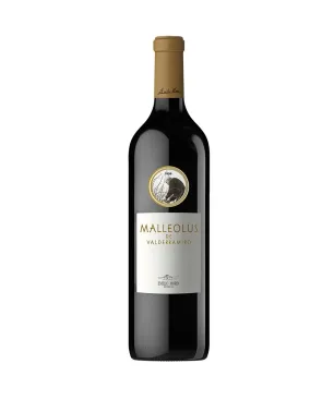 Malleolus Valderramiro 2019