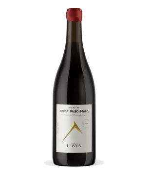 Lavia Finca Paso Malo 2019