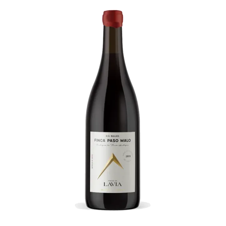Lavia Finca Paso Malo 2019