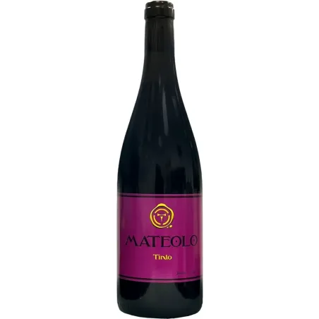Adega Entrecantos Mateolo Tinto 2022