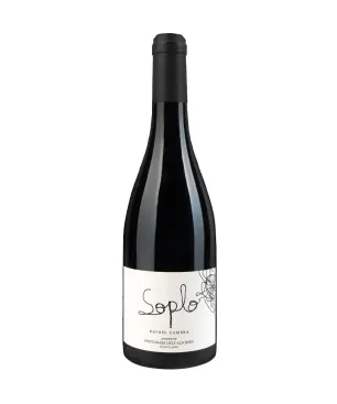 Rafael Cambra Soplo 2020