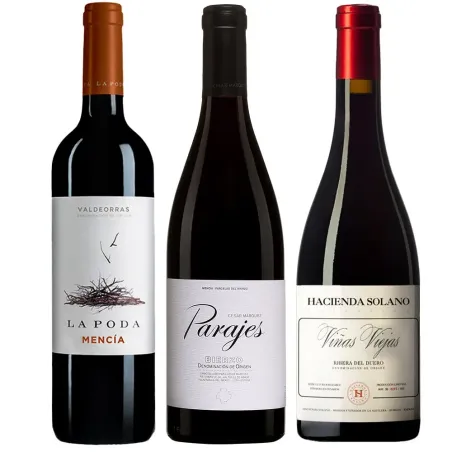 Tintos para Degustar 2