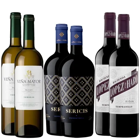 Pack 6 botellas Wine Lovers