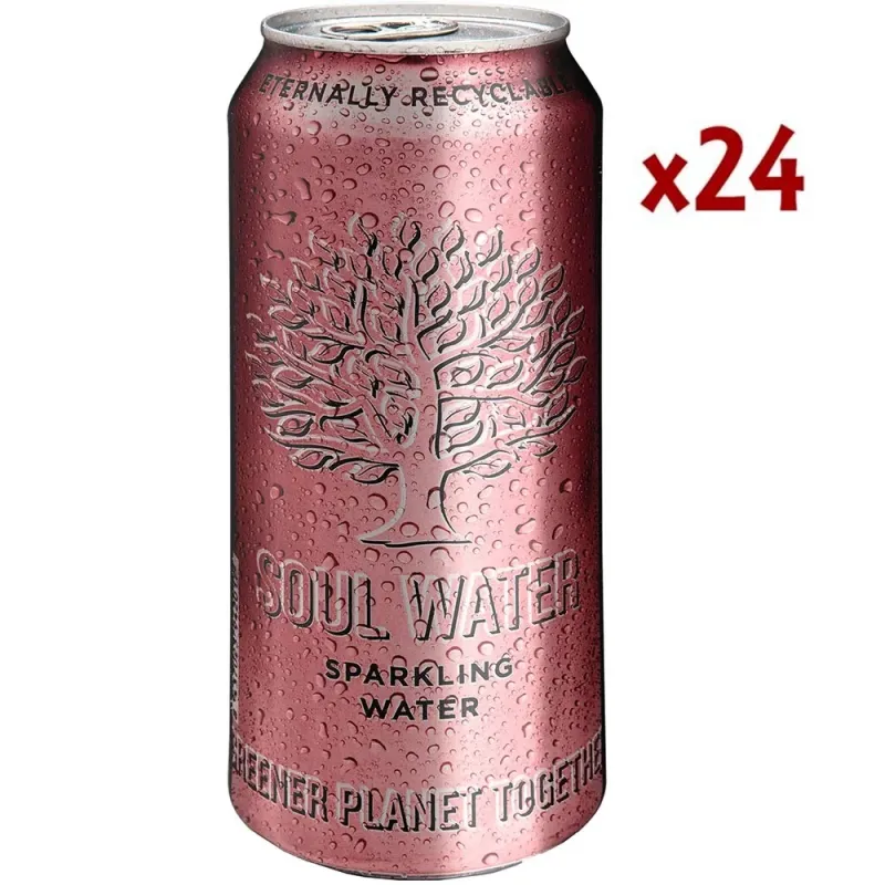 Soul water sparkling 50cl. caja 24unidades