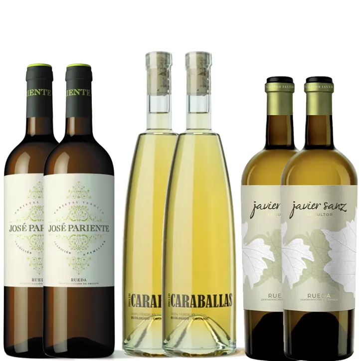 Pack 6 botellas Verdejo
