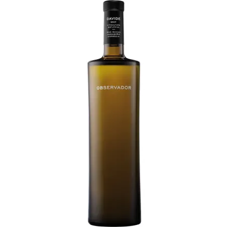 Davide Observador 2023