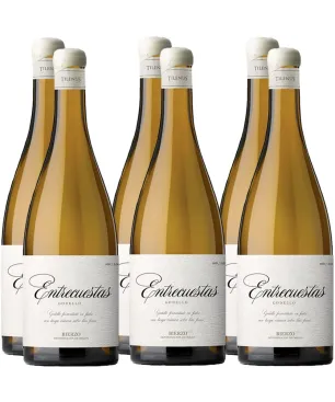 Pack 6 Tilenus Entrecuestas