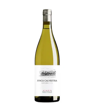 Finca Calvestra Blanco mustiguillo 2023