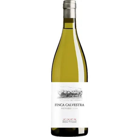 Finca Calvestra Blanco mustiguillo 2023