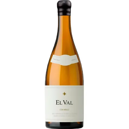 Cesar Marquez El Val 2023