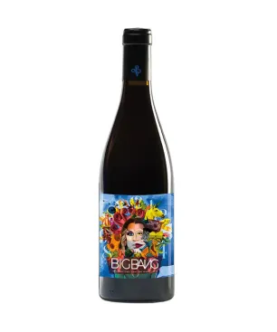 PVidal Big Bang 2022