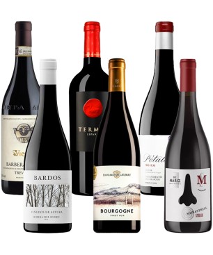 Pack Tintos de Autor