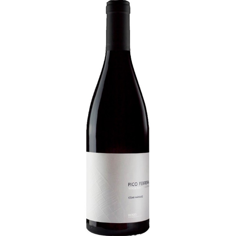 Cesar Marquez Pico Ferreira 2024