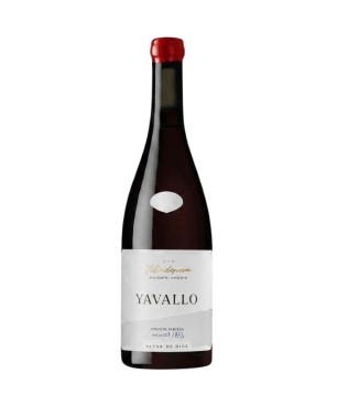 Alvar de Dios Yavallo 2021