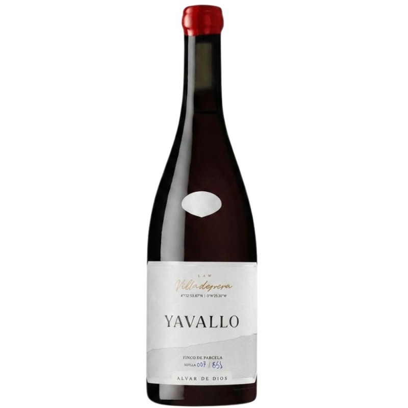 Alvar de Dios Yavallo 2021