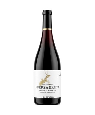 A Pie de Tierra Fuerza Bruta 2024