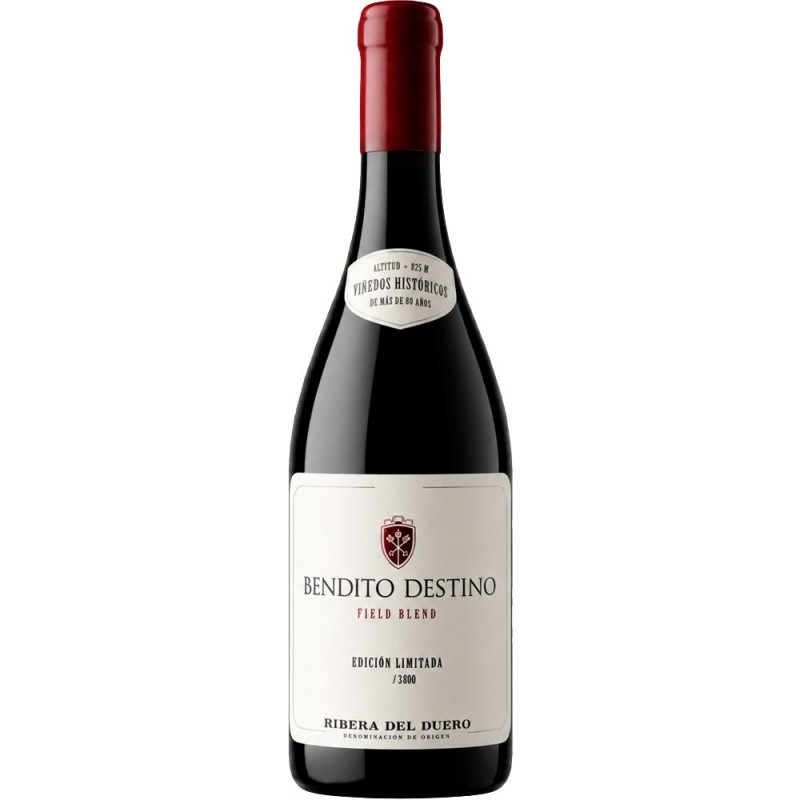 Bendito Destino Field Blend 2023