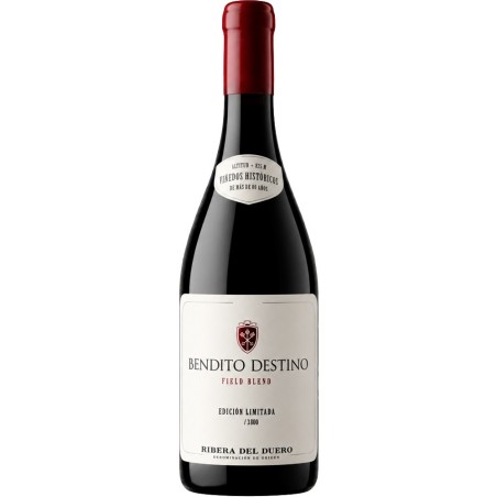 Bendito Destino Field Blend 2023