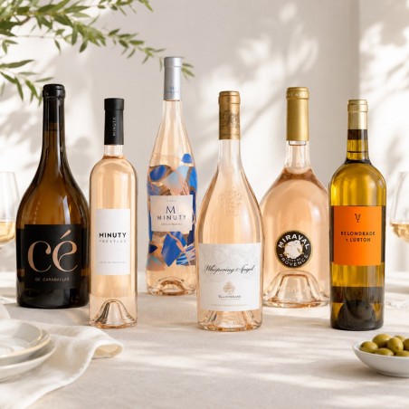 Pack de 6 Verano Premium