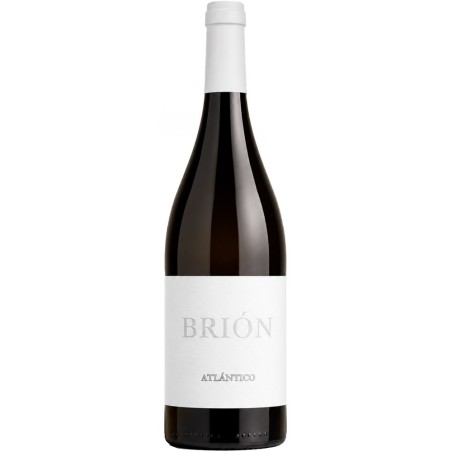 Brion Atlantico Albariño 2025