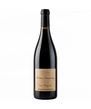 Antoine Sanzay Saumur-Champigny Les Poyeux 2021